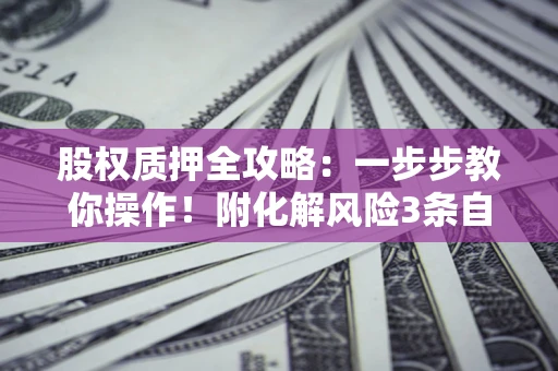 北京股权质押全攻略：一步步教你操作！附化解风险3条自救法则