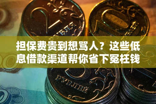 北京担保费贵到想骂人？这些低息借款渠道帮你省下冤枉钱