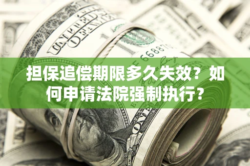 北京担保追偿期限多久失效？如何申请法院强制执行？