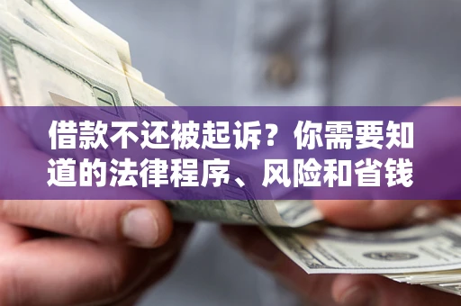 北京借款不还被起诉？你需要知道的法律程序、风险和省钱技巧