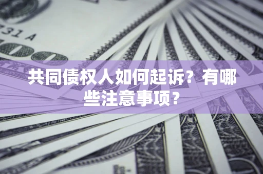 北京共同债权人如何起诉？有哪些注意事项？